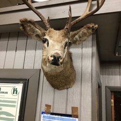 Reeves Hdw - Love the diversity in this store