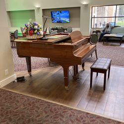 Brookdale Mandarin - Grand piano atrium