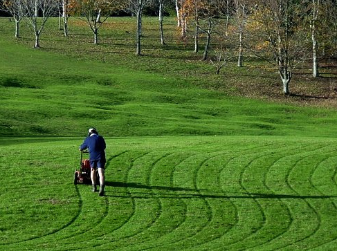 Photo of Lawn Care of Cumming - Cumming, GA, US. Attention to Detail