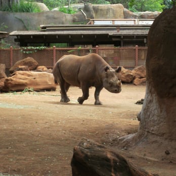Honolulu Zoo - Zoos Near Me - Honolulu, Hawaii