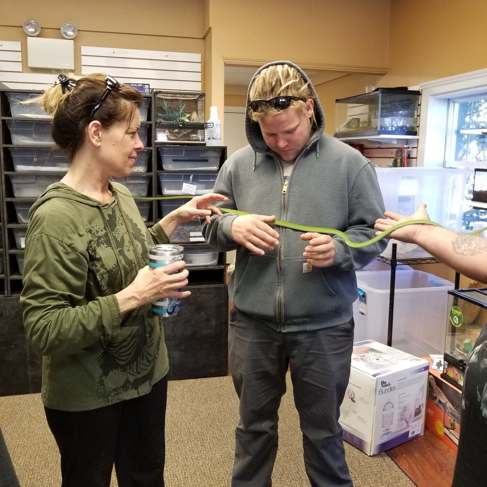 401 Reptiles - Reptile Shops Near Me - West Warwick, Rhode Island