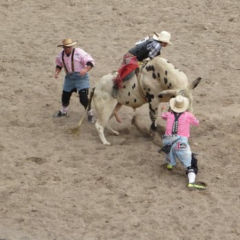Cheyenne Frontier Days - Bulling riding - Museums Near Me - Cheyenne, Wyoming Cheyenne Frontier Days - Bulling riding - Museums Near Me - Cheyenne, Wyoming