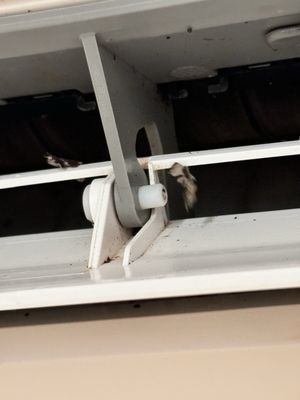 Posada Real Los Cabos by null