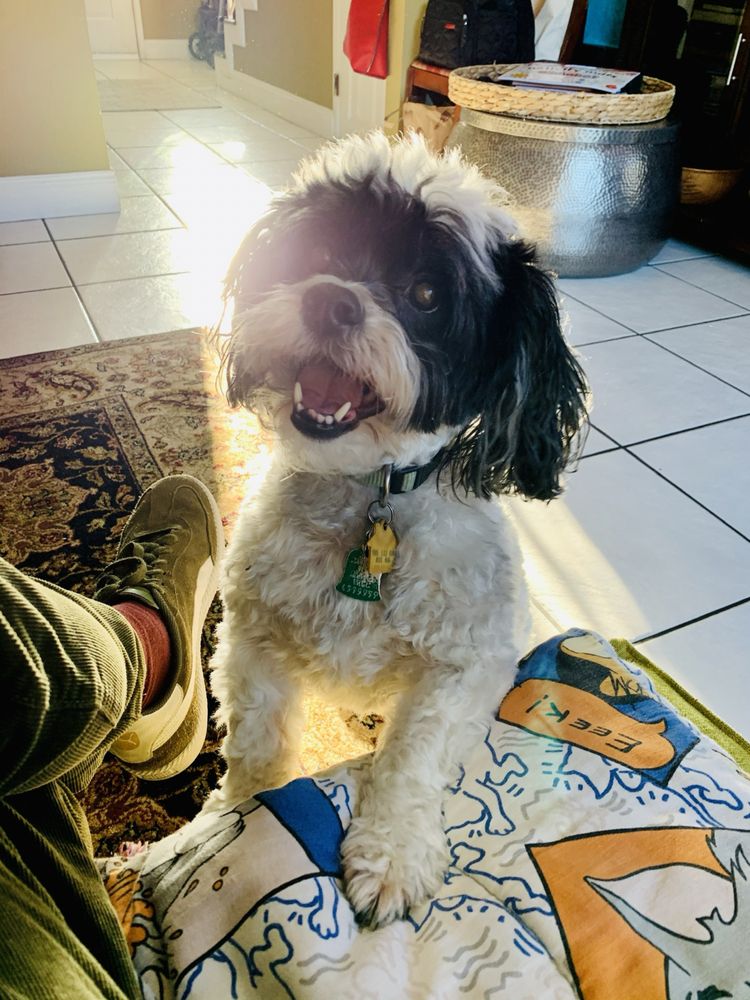 SEXTON CLINIC Updated July 2024 19 Reviews 3162 Danville Blvd, Alamo, California