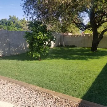 Az Lawn Pro - After 2nd cut - Lawn Services Near Me
