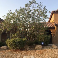 Mundo Lawn Service - Before