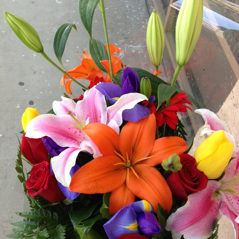 May Flowers - 3/17/13 - Florists Near Me - Santa Fe Springs, California May Flowers - 3/17/13 - Florists Near Me - Santa Fe Springs, California