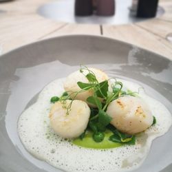 PAN Vinothek Bistro Restaurant - Jakobsmuscheln, Erbsen, Amalfi-Zitrone