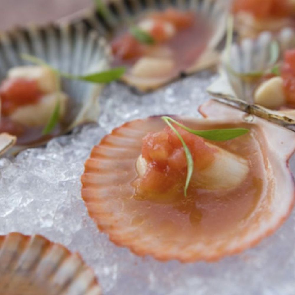 The River Café - Scallops - New American Near Me - Brooklyn, New York The River Café - Scallops - New American Near Me - Brooklyn, New York