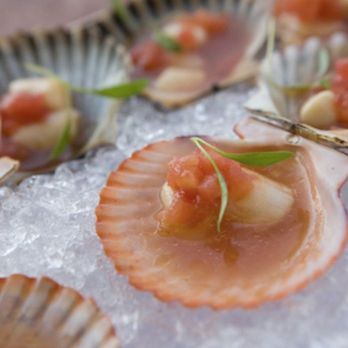 The River Café - Scallops - New American Near Me - Brooklyn, New York The River Café - Scallops - New American Near Me - Brooklyn, New York