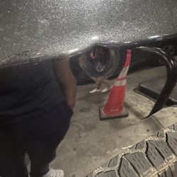 AutoZone Auto Parts - They dent my car when the replace my battery