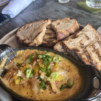 Hello Monty - Cheese and bread! My favorite foods! - New American Near Me - Chattanooga, Tennessee Hello Monty - Cheese and bread! My favorite foods! - New American Near Me - Chattanooga, Tennessee