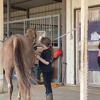 RH Equestrian - Grooming Chili - Horseback Riding Near Me - Tyler, Texas RH Equestrian - Grooming Chili - Horseback Riding Near Me - Tyler, Texas