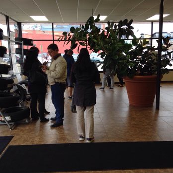 Grismer Tire & Auto Service - Their enormous plant in the waiting area is indicative of the care they will show your vehicle. - Tires Near Me - Columbus, Ohio Grismer Tire & Auto Service - Their enormous plant in the waiting area is indicative of the care they will show your vehicle. - Tires Near Me - Columbus, Ohio