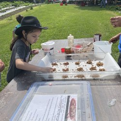 Blue Ribbon Farms - Making horse treats!
