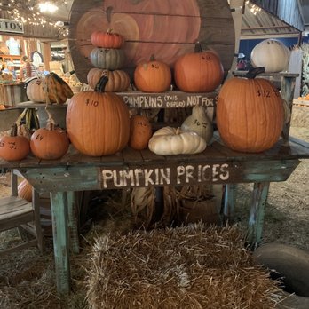 Hall's Pumpkin Farm - Pumpkin prices fall'19 - Pumpkin Patches Near Me - Grapevine, Texas Hall's Pumpkin Farm - Pumpkin prices fall'19 - Pumpkin Patches Near Me - Grapevine, Texas