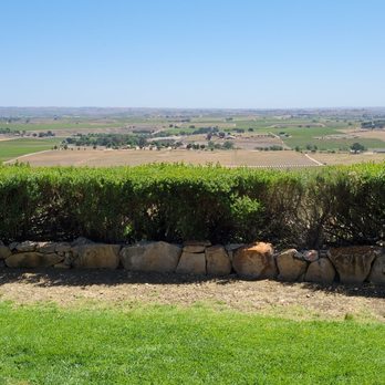 RN Estate Vineyard - a dog resting on a stone wall - Wineries Near Me - Paso Robles, California