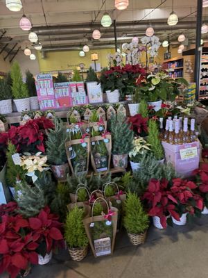 Jimbo's - Escondido by null