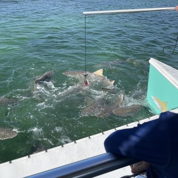 Key West Extreme Adventures - Boating Near Me - Key West, Florida
