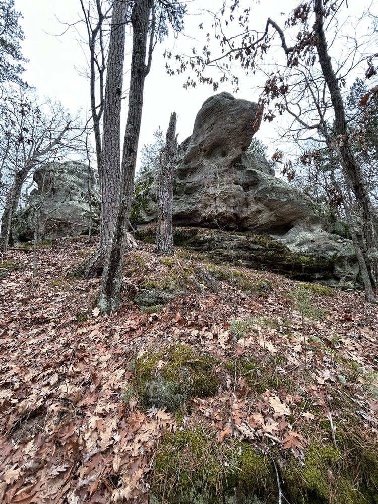 Pickle Springs Trail Logo