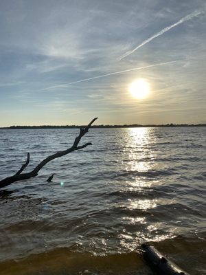 Carolina Beach State Park by null