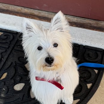 Happy Paws Dog Grooming - Pet Groomers Near Me - Monrovia, California Happy Paws Dog Grooming - Pet Groomers Near Me - Monrovia, California