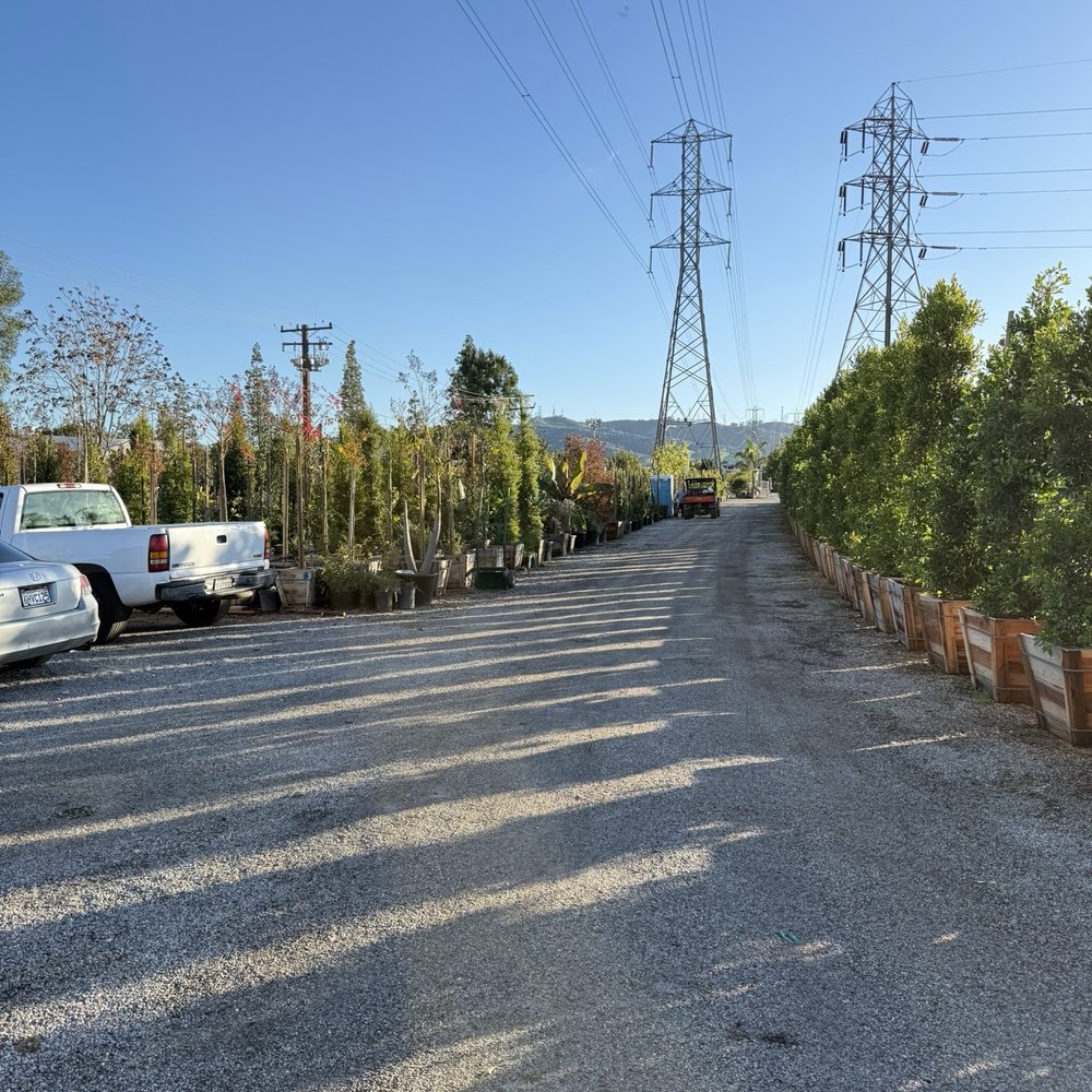 TOP 10 BEST Nurseries near Grand Terrace, CA 92313 - Updated 2026 - Yelp