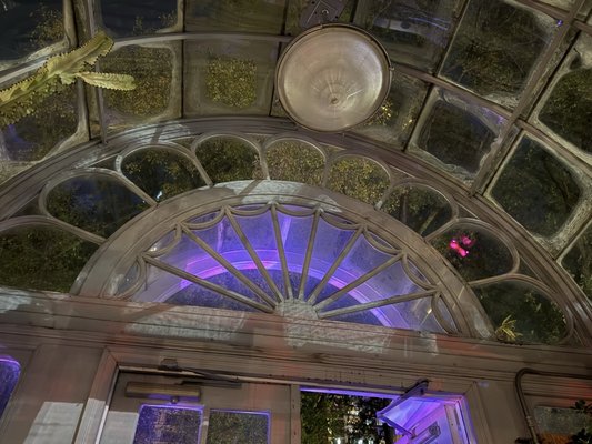 Allan Gardens Conservatory by null