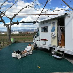 Camping los Naranjos - Big Sunny Winter Pitches