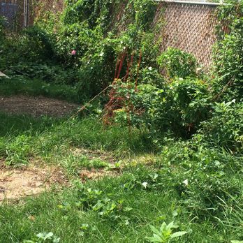 G. Ramirez Landscaping - Backyard Before - Landscaping Near Me - Des Plaines, Illinois