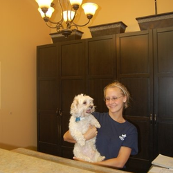 Holiday Pet Care