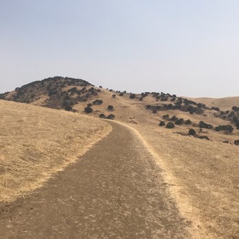 Brushy Peak Regional Preserve - Yellow dirt road ... - Hiking Near Me Brushy Peak Regional Preserve - Yellow dirt road ... - Hiking Near Me