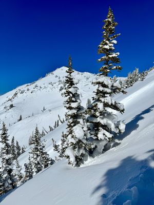 Alta Ski Area by null