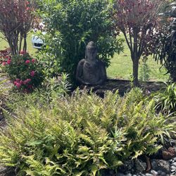 Earthwise Landscape Contracting & Maintenance
