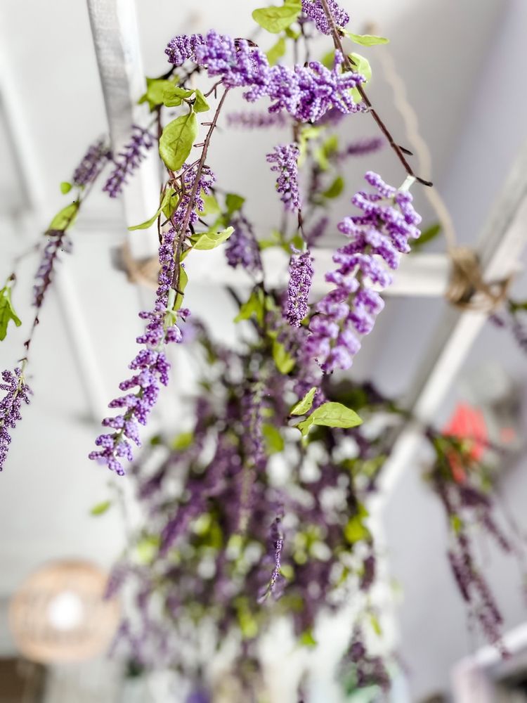 Lavender Patch Image