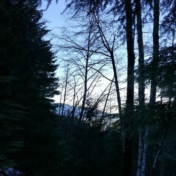 Mt Washington Trail - Hiking Near Me - North Bend, Washington