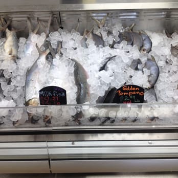 Ameera Food - fish in a display case - Grocery Near Me - Chicago, Illinois Ameera Food - fish in a display case - Grocery Near Me - Chicago, Illinois