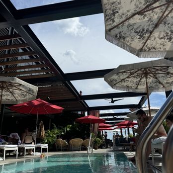 The Pool Club - Pool - Swimming Pools Near Me - New Orleans, Louisiana The Pool Club - Pool - Swimming Pools Near Me - New Orleans, Louisiana