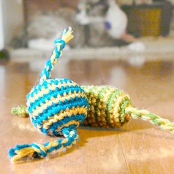 Pet Boutique & Supply - Pet Stores Near Me - Brooklyn, New York Pet Boutique & Supply - Pet Stores Near Me - Brooklyn, New York