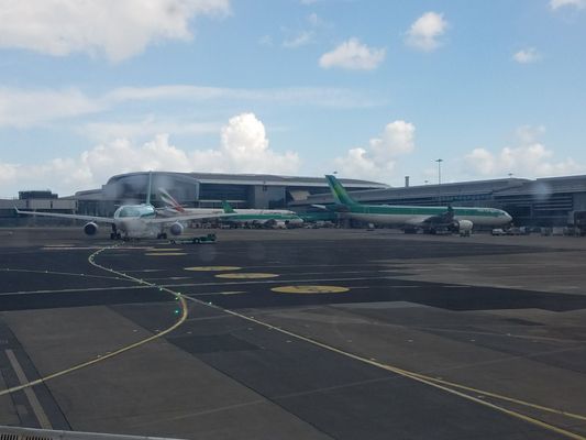 Aer Lingus by null