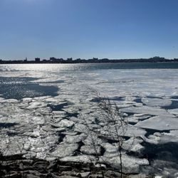 Back Cove Trail - Back cove