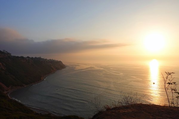 Malaga Cove by null