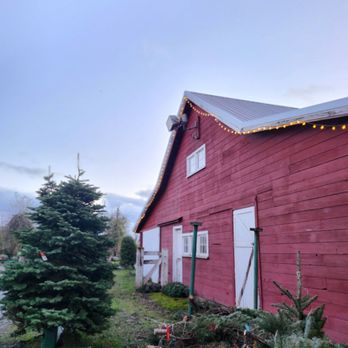 Logan Tree Farm - Christmas Trees Near Me - Portland, Oregon Logan Tree Farm - Christmas Trees Near Me - Portland, Oregon