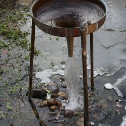 Vortex Garten
