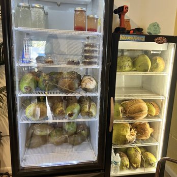 Coco Lov - Fresh coconut - Ice Cream & Frozen Yogurt Near Me - Tampa, Florida