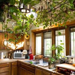 Country and Farm Casitas