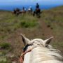 Photo of Triple L Ranch Maui - Private Custom Horseback Riding