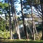 Photo of Boscombe Chine