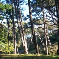 Boscombe Chine