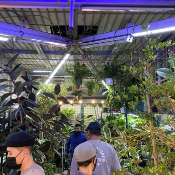 Plant Me - Nurseries & Gardening Near Me - Los Angeles, California Plant Me - Nurseries & Gardening Near Me - Los Angeles, California